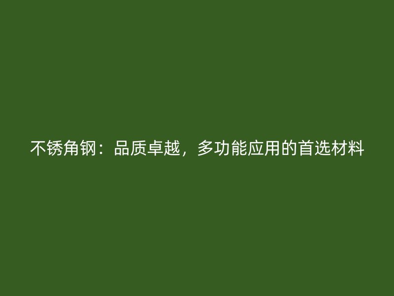 不銹角鋼：品質(zhì)卓越，多功能應(yīng)用的首選材料