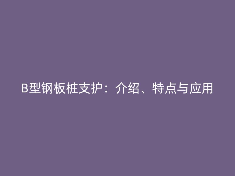 B型鋼板樁支護：介紹、特點與應用