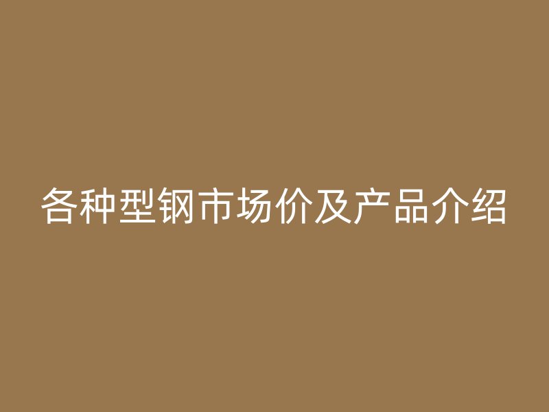 各種型鋼市場價及產品介紹