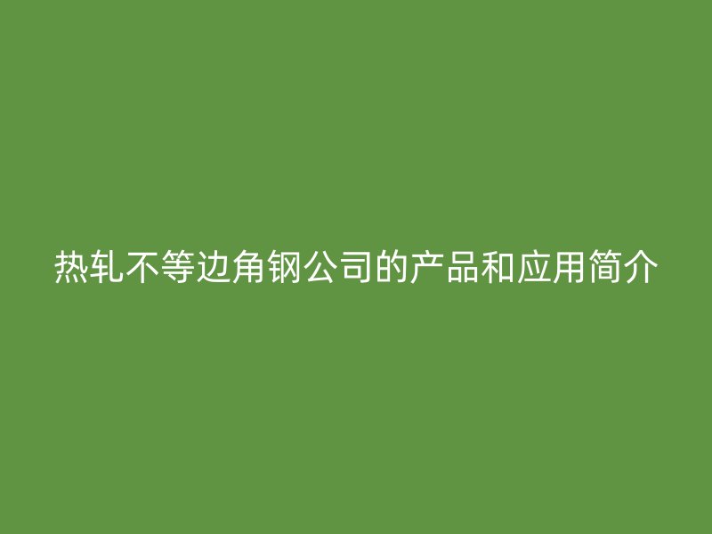 熱軋不等邊角鋼公司的產(chǎn)品和應(yīng)用簡(jiǎn)介