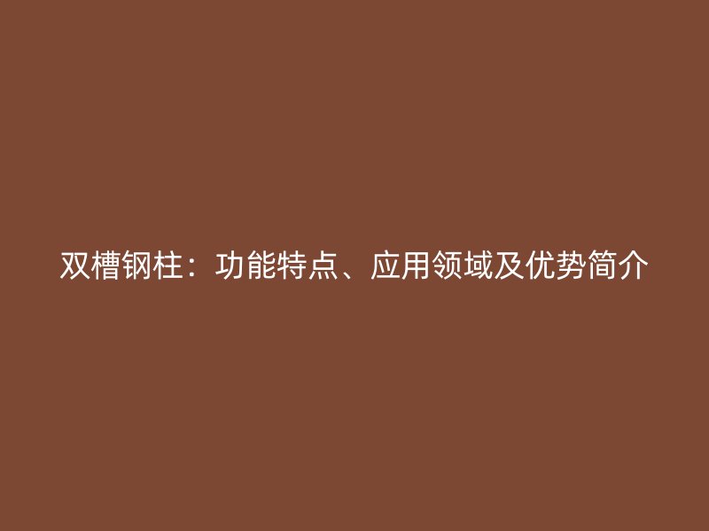 雙槽鋼柱：功能特點(diǎn)、應(yīng)用領(lǐng)域及優(yōu)勢(shì)簡(jiǎn)介