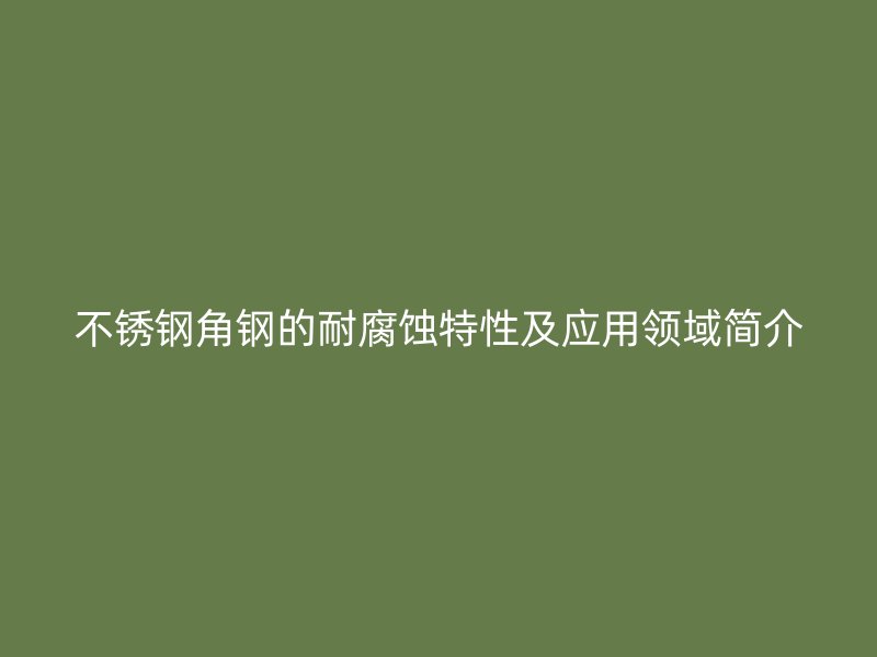 不銹鋼角鋼的耐腐蝕特性及應(yīng)用領(lǐng)域簡介