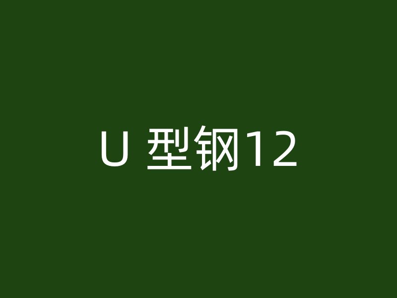 U 型鋼12